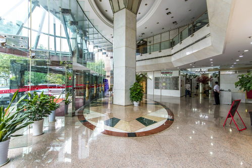 长宁商务新地标 鑫达大厦写字楼租赁全解析与高效办公空间管理之道